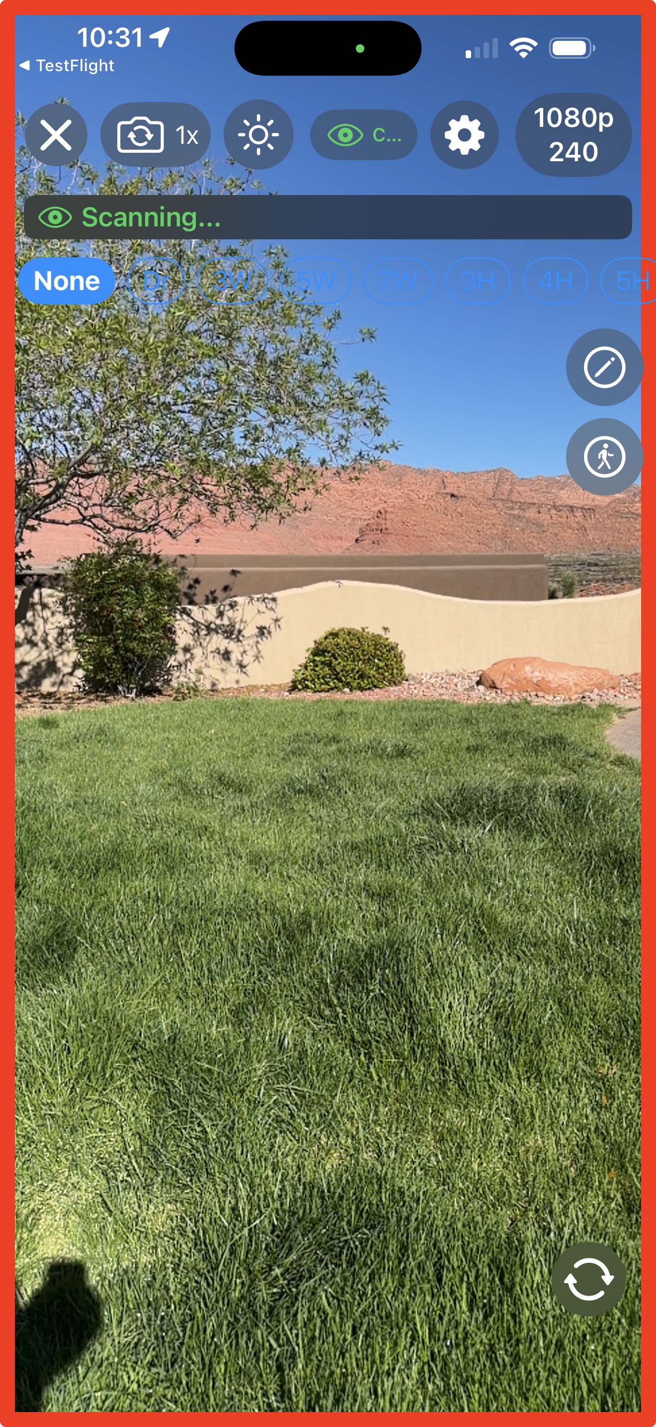 The camera view with auto-detection active
