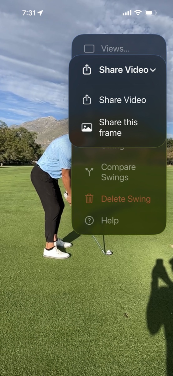 Review menu — Share Video and Share this frame